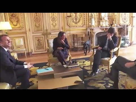 Macron's dog relieves himself near fireplace at Élysée Palace