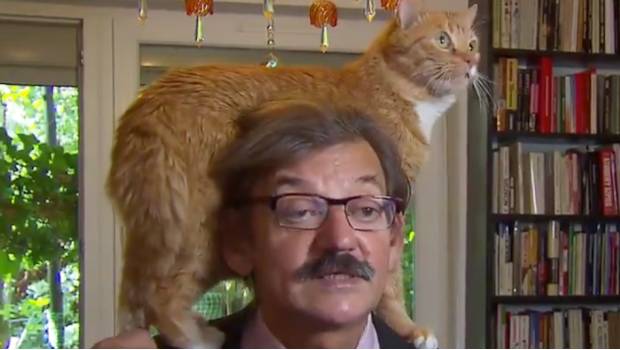 Pologne : Un chercheur en Sciences politiques fait son interview en direct avec un chat sur la tête !