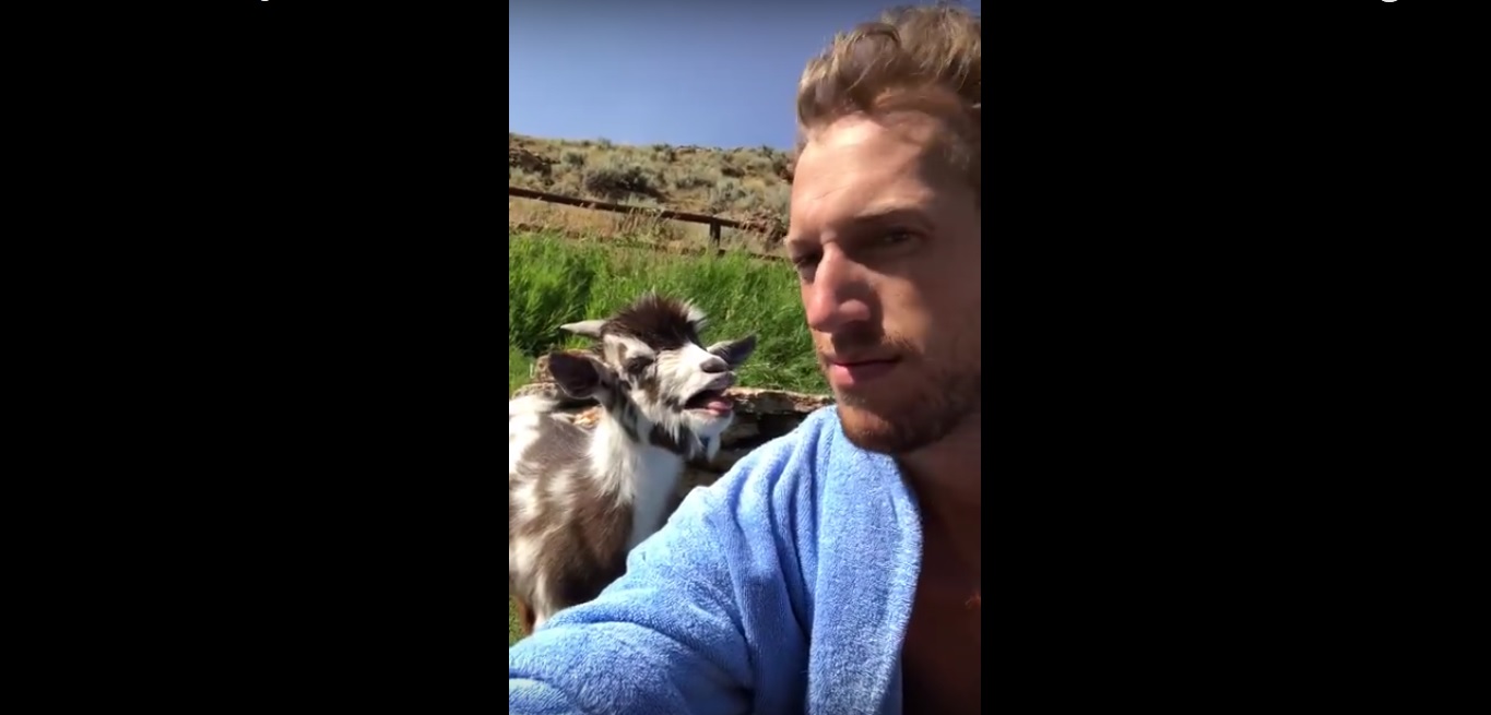 Un jeune homme a une discussion avec une chèvre