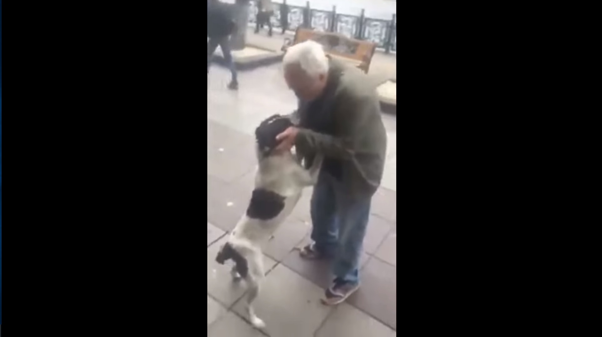 Émouvant ! Il retrouve son chien 3 ans après l'avoir perdu !