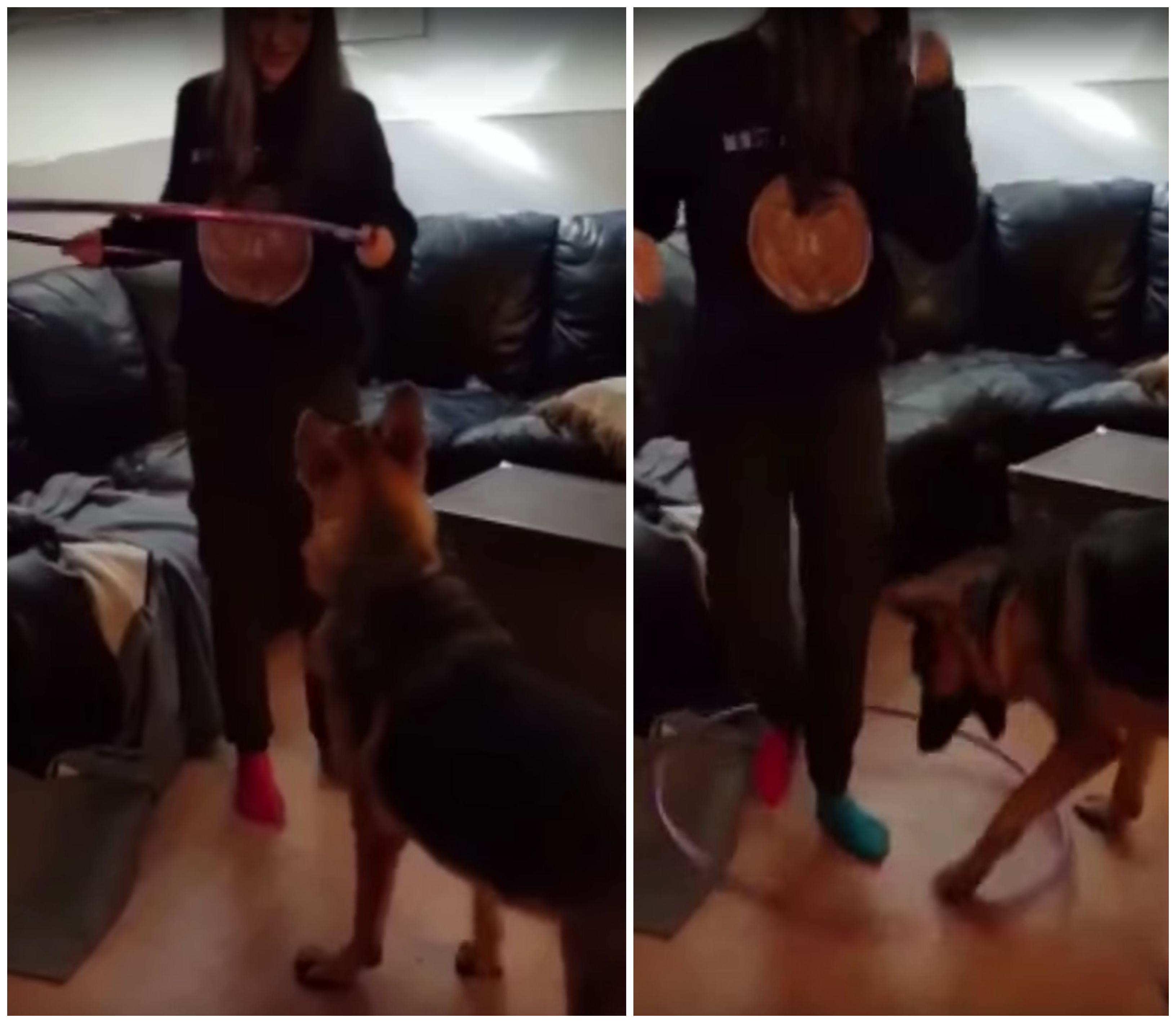 Elle fait du hula hoop, son chien tente de l’imiter !