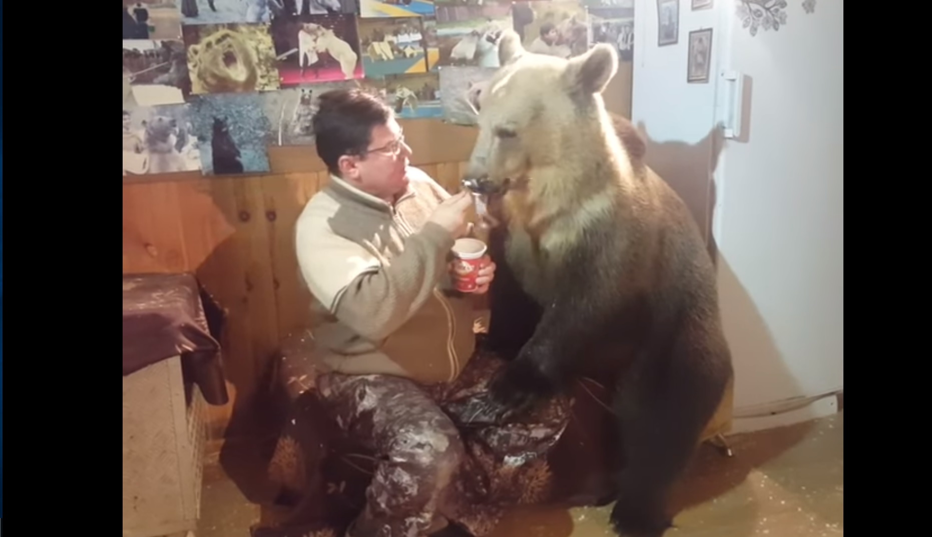 Un homme partage sa glace avec... un ours !