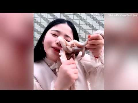 Mauvais Karma pour cette blogueuse chinoise qui tente de manger une pieuvre !