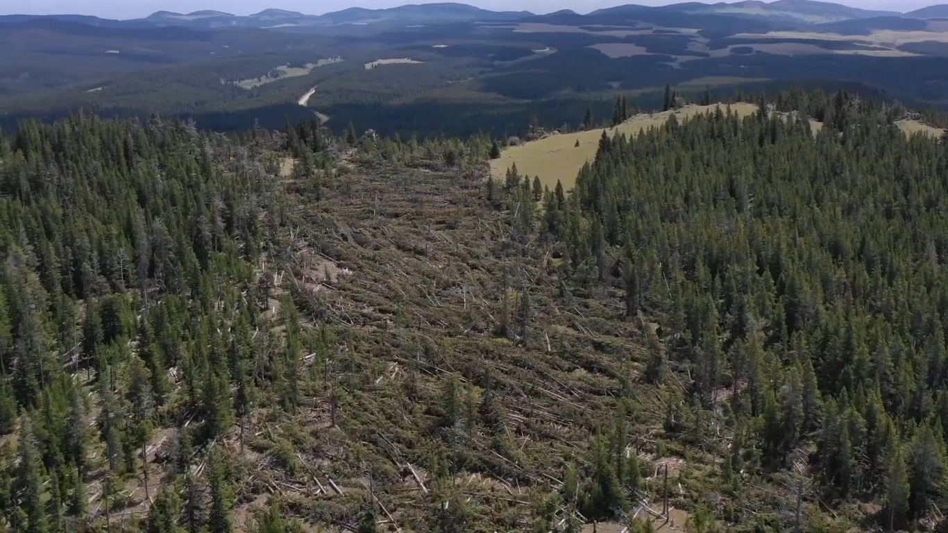 Impressionnant ! Un drone filme les dégâts d'une tornade après son passage