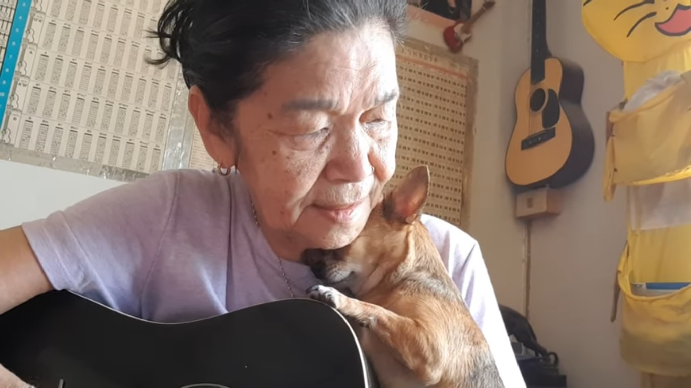 Une mamie chante une chanson pour son chihuahua