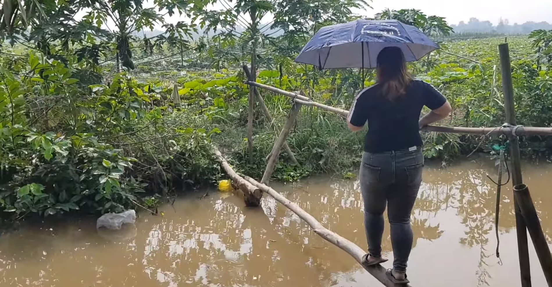 Une adolescente traverse un pont de fortune... et c'est le drame