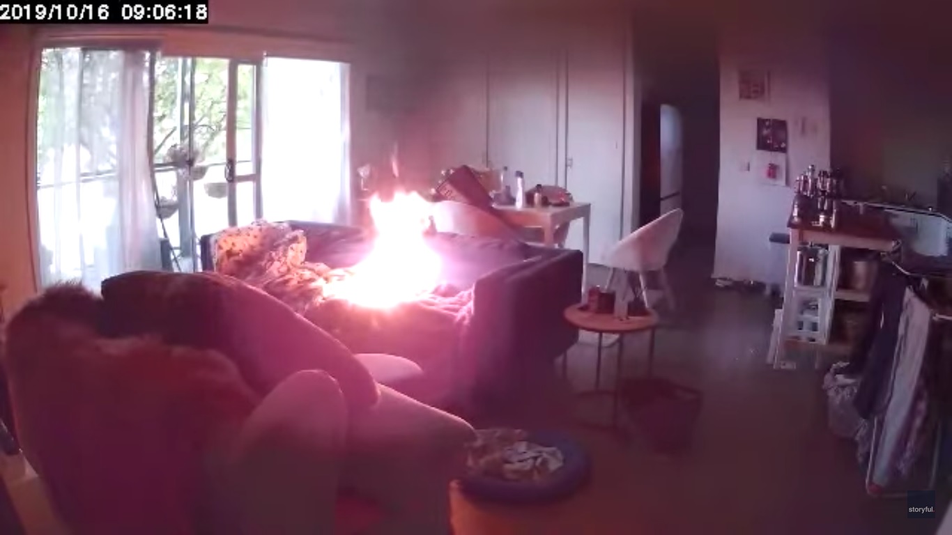 Australie : un chien met le feu à sa maison