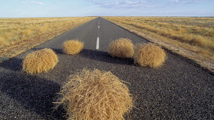 D’immenses boules de mauvaises herbes obligent des conducteurs à fuir l’autoroute