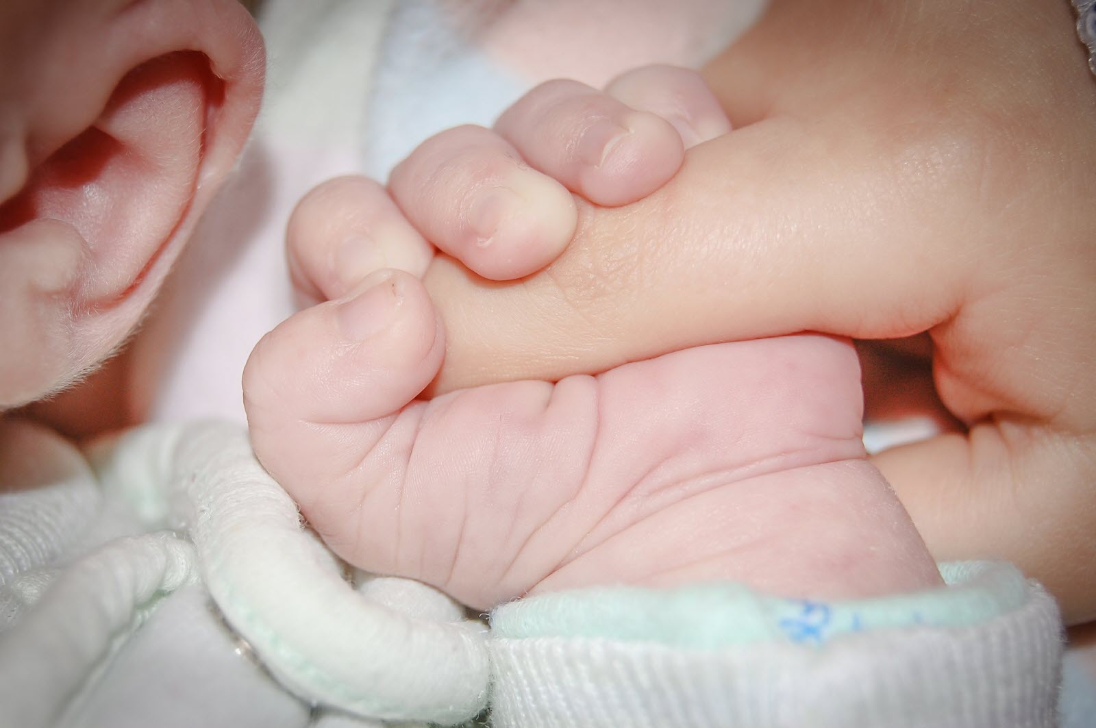 La photo de ce bébé qui vient de naître fait le tour du monde