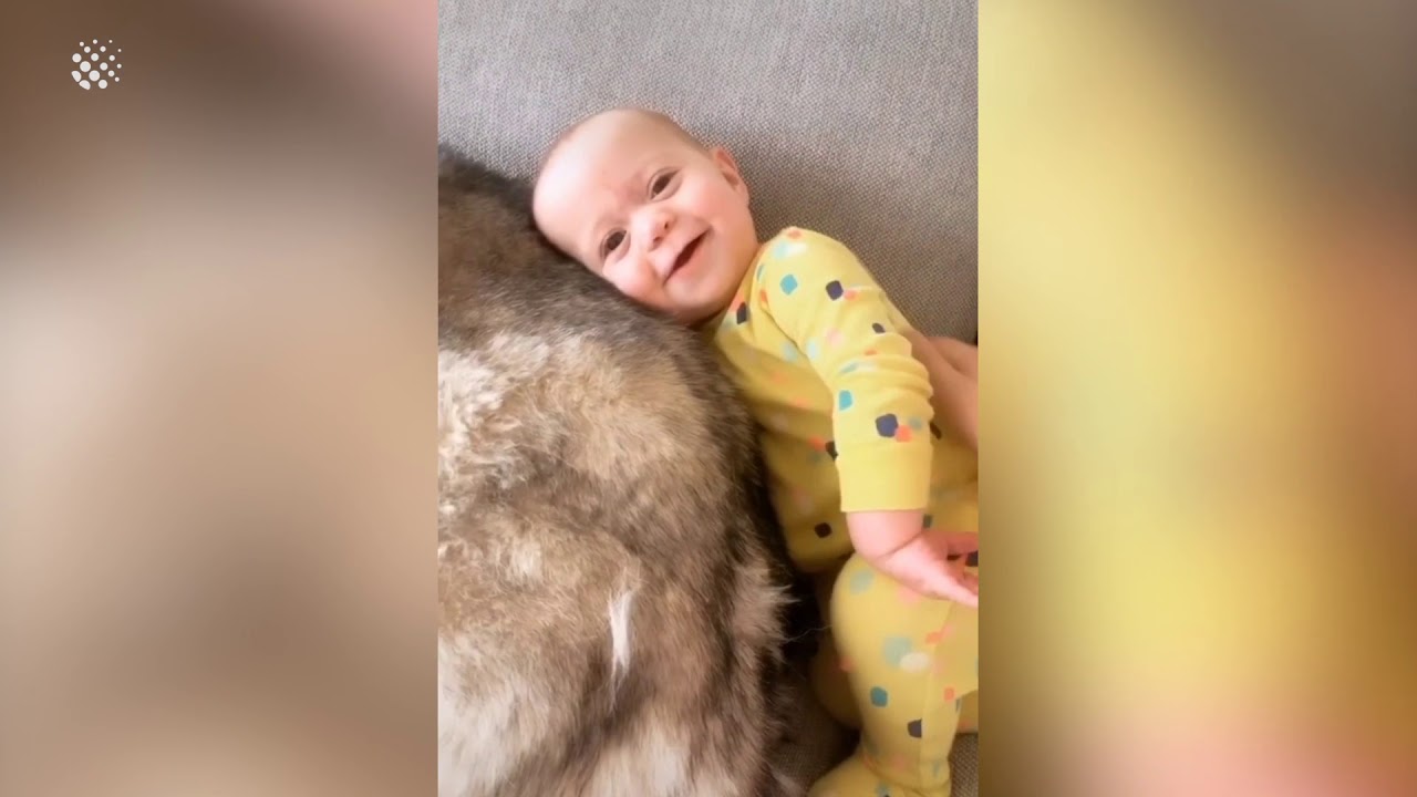 Cute : Moment câlin entre un bébé et un husky