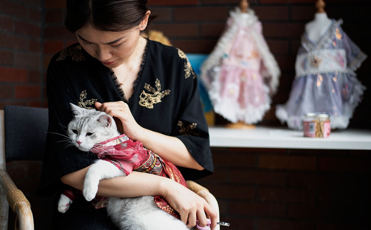 Elle fabrique des vêtements sur mesure pour chats