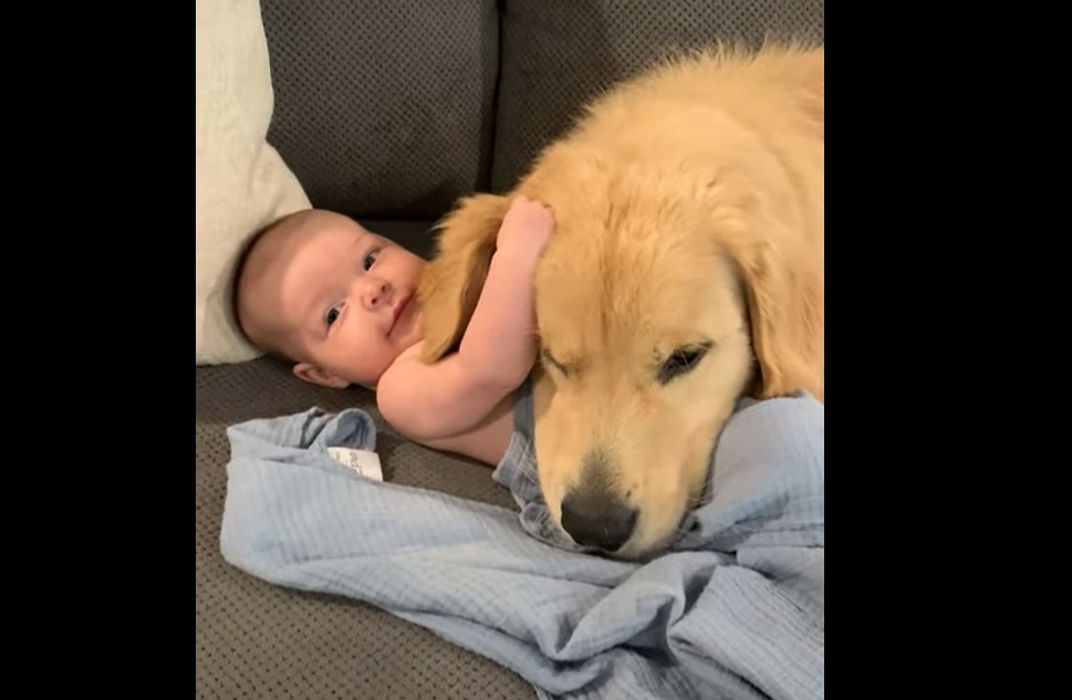 Adorable : moment câlin entre un bébé et son chien