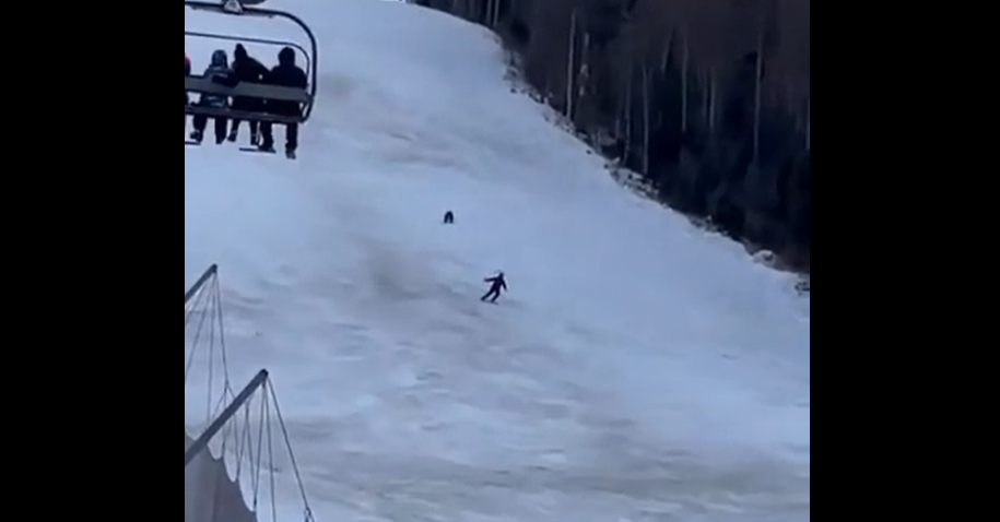 Impressionnant : Un skieur pourchassé par un ours !