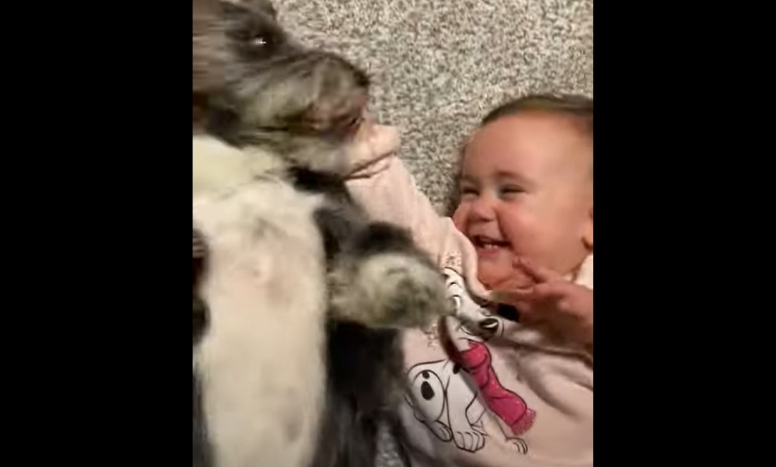 Trop mignon : Ce bébé et ce chien sont déjà très complices !