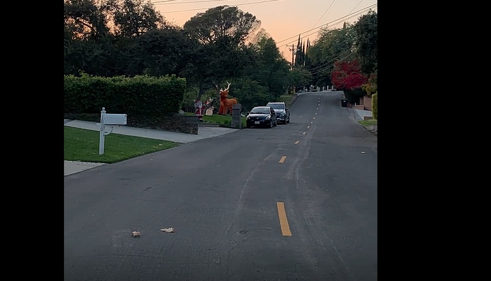 En se promenant dans son quartier, elle découvre un spectacle... surprenant !