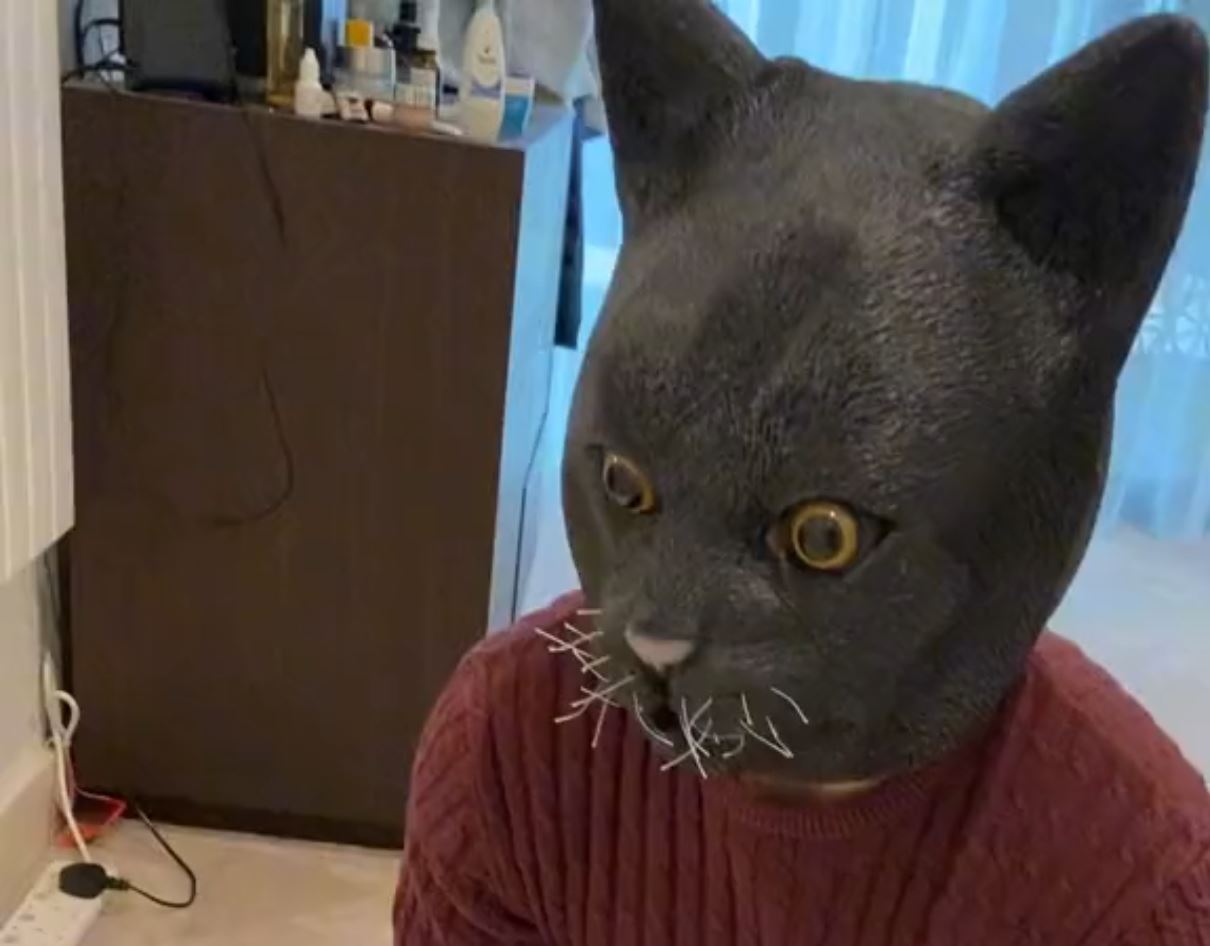 La réaction de ses chats face au masque de leur propriétaire est hilarante