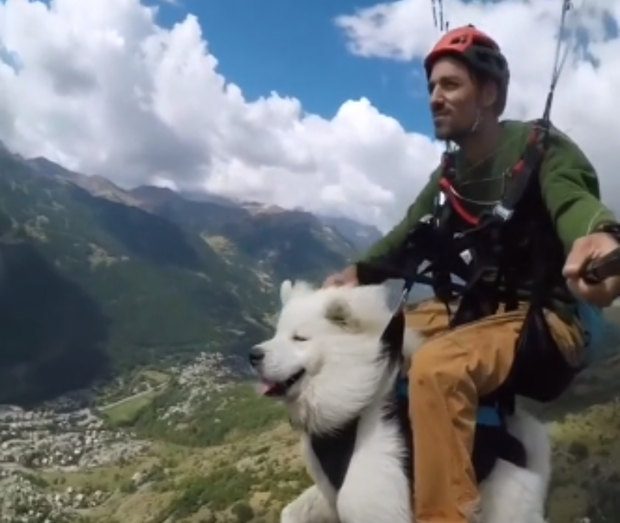 Vous ne rêvez pas ! C'est bien un chien volant que vous voyez sur cette vidéo