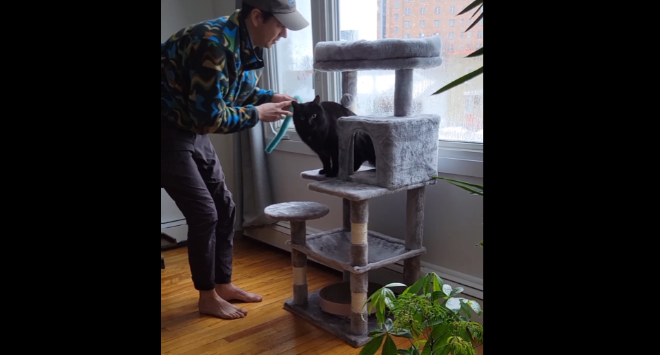 Découvrez la réaction de ce chat... quand il entend le distributeur de croquettes !