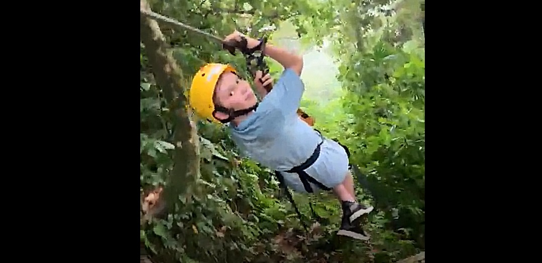 En pleine descente en tyrolienne, ils ne s'attendaient pas à une telle rencontre !