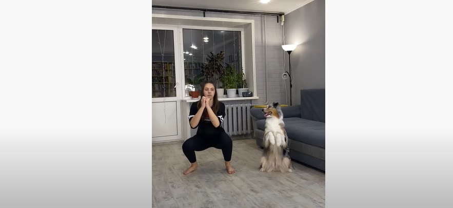 Ce chien imite sa maîtresse qui fait des squats... et c'est très drôle !