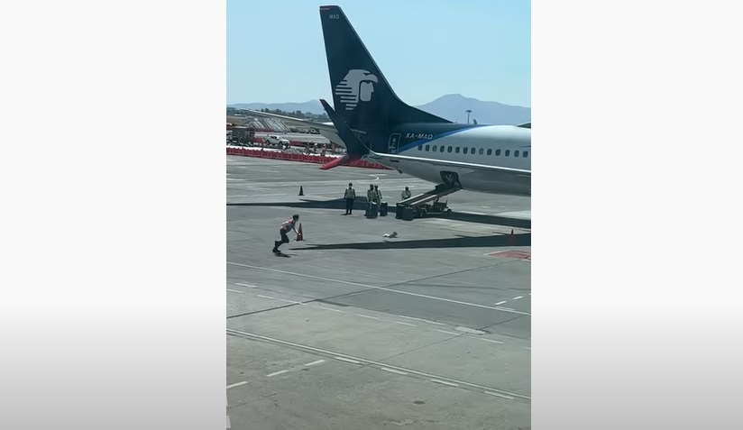 Quand un chien sème la panique sur le tarmac d'un aéroport