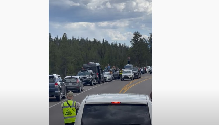 Vous ne devinerez jamais qui a causé un tel embouteillage !