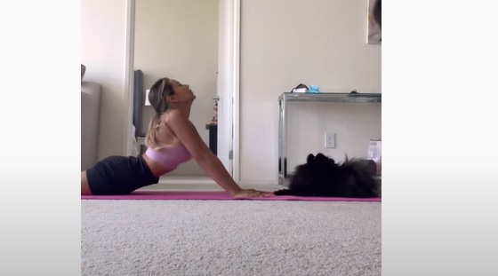 Ce chien fait du yoga avec sa maîtresse et c'est très drôle !