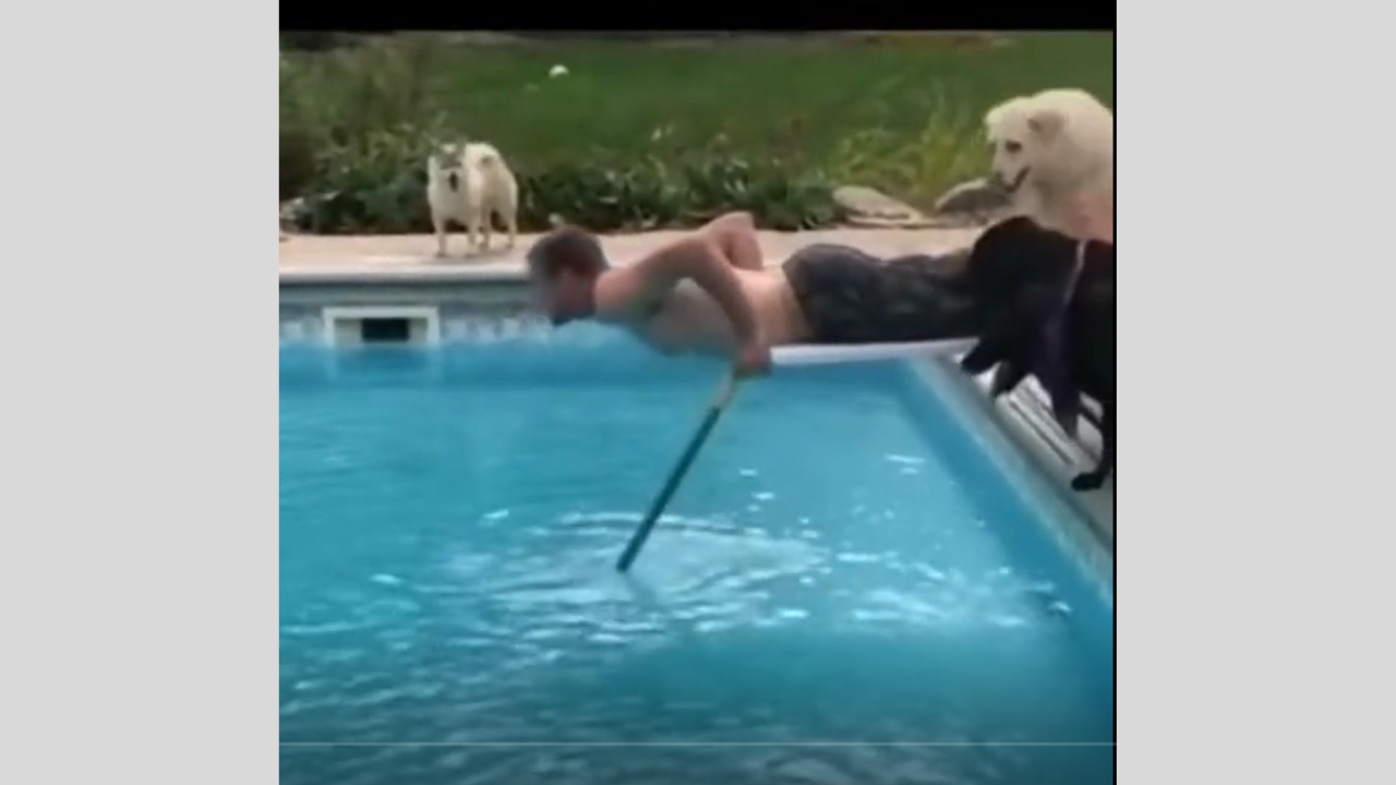 Il souhaite nettoyer sa piscine mais son chien en a décidé autrement !