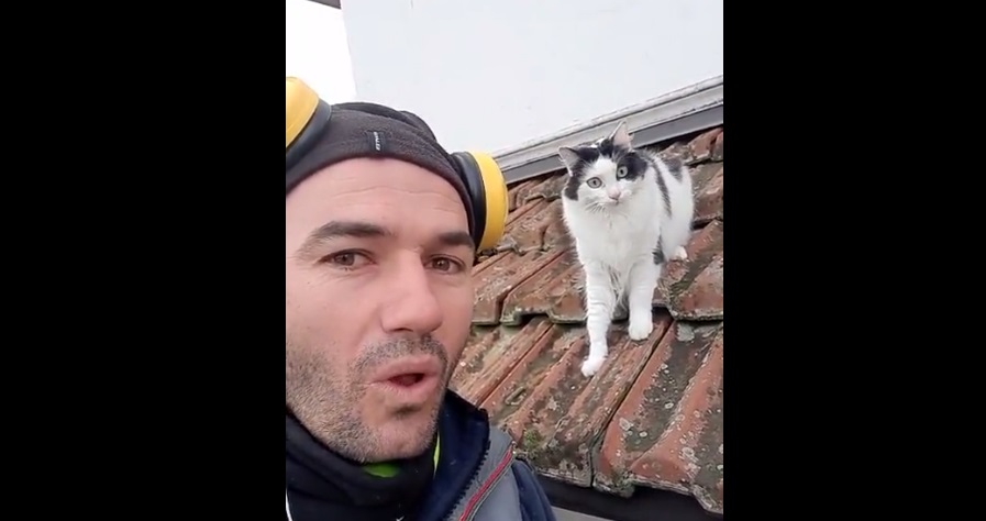 Cet homme imite un chat en colère : la réaction de l’animal est à mourir de rire !