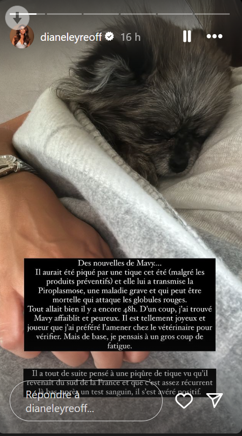 Diane Leyre inquiète pour son chien : "une maladie grave et qui peut être mortelle"